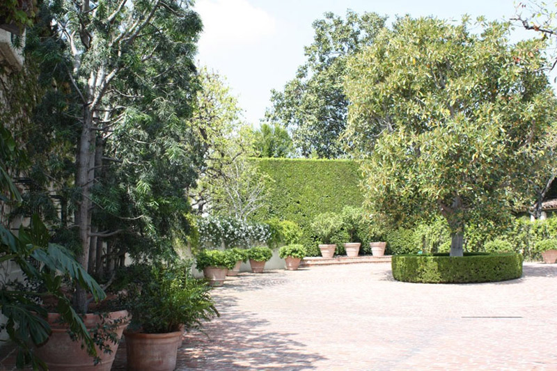 Brick courtyard with terracotta planters and sculpted hedges