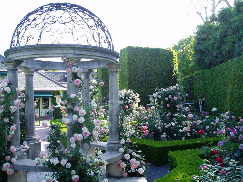 Formal estate rose garden