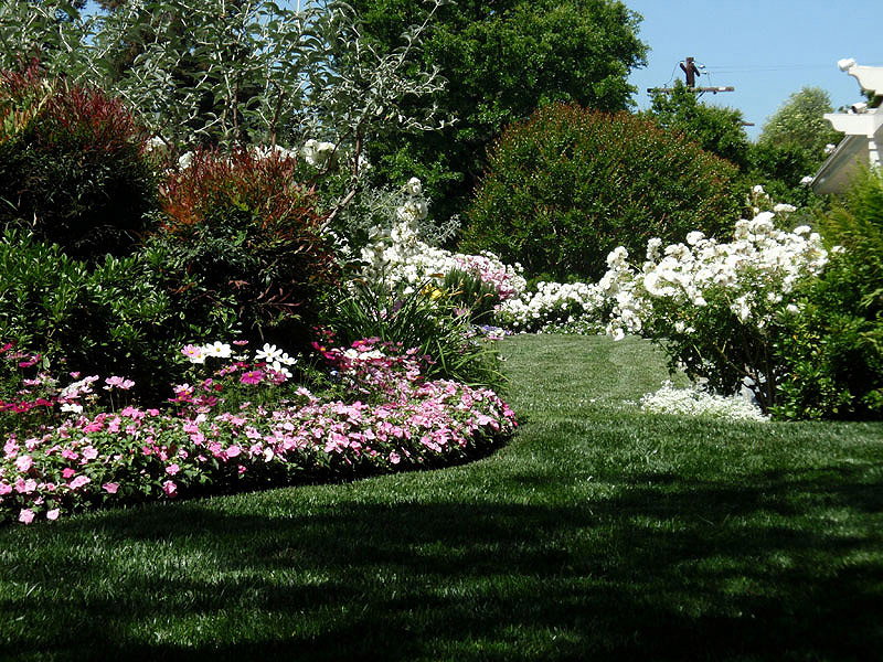 Manicured flower beds and turf